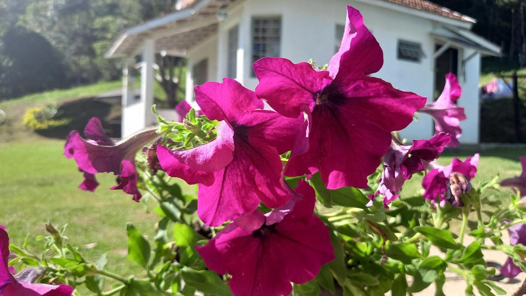 Chale Doce Beija-flor * Campos do Jordão